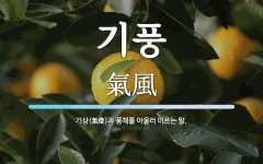 기풍 뜻: 기상(氣像)과 풍채를 아울러 이르는 말.