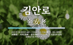 김안로 뜻: 조선 전기의 문신(1481~1537). 자는 이숙(頥叔). 호는 희락당(希樂堂)ㆍ퇴재(退齋