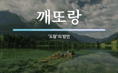 깨또랑 뜻: ‘도랑’의 방언
