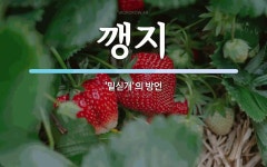 깽지 뜻: ‘밑싣개’의 방언