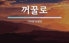 꺼꿀로 뜻: ‘거꾸로’의 방언