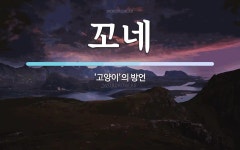 꼬네 뜻: ‘고양이’의 방언