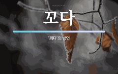 꼬다 뜻: ‘꾀다’의 방언