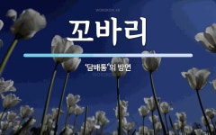 꼬바리 뜻: ‘담배통’의 방언