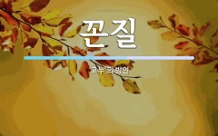 꼰질 뜻: ‘고누’의 방언