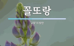 꼴또랑 뜻: ‘고랑’의 방언