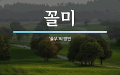 꼴미 뜻: ‘골무’의 방언