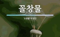 꼴창물 뜻: ‘도랑물’의 방언