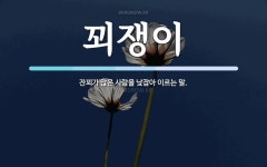 꾀쟁이 뜻: 잔꾀가 많은 사람을 낮잡아 이르는 말.