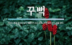 꾸뻑 뜻: 머리나 몸을 앞으로 많이 숙였다가 드는 모양. ‘꾸벅’보다 센 느낌을 준다.