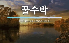 꿀수박 뜻: 달고 맛 좋은 수박을 비유적으로 이르는 말.