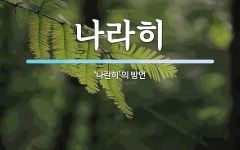 나라히 뜻: ‘나란히’의 방언