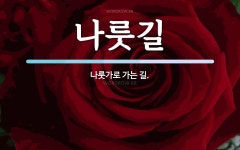 나룻길 뜻: 나룻가로 가는 길.