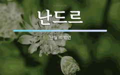 난드르 뜻: ‘난들’의 방언