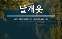 날개옷 뜻: 날개가 달린 상상의 옷. 신선, 선녀가 입는다고 한다.