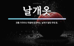 날개옷 뜻: 전통 가극이나 무용에 등장하는, 날개가 달린 무대 옷.