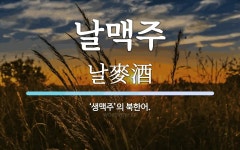 날맥주 뜻: ‘생맥주’의 북한어.