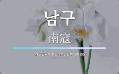 남구 뜻: 고려 공민왕 때 홍건적의 난을 예언한 민요.