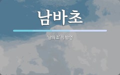 남바초 뜻: ‘낭파초’의 방언