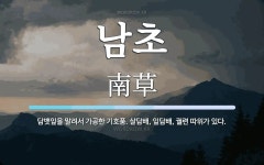 남초 뜻: 담뱃잎을 말려서 가공한 기호품. 살담배, 잎담배, 궐련 따위가 있다.