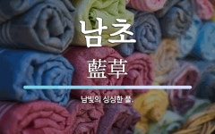 남초 뜻: 남빛의 싱싱한 풀.