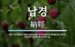 납경 뜻: 죽은 이의 명복과 내세의 길상(吉祥) 및 현세에서의 복락을 빌기 위하여 경문이나 경전을 베