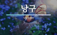 낭구 뜻: ‘나무’의 방언