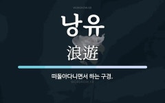 낭유 뜻: 떠돌아다니면서 하는 구경.