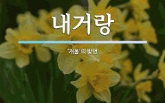내거랑 뜻: ‘개울’의 방언