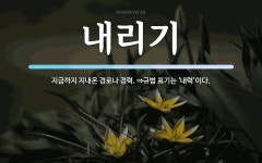 내리기 뜻: 지금까지 지내온 경로나 경력. ⇒규범 표기는 ‘내력’이다.