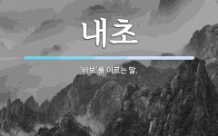 내초 뜻: ‘바보’를 이르는 말.
