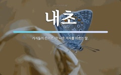 내초 뜻: 거지들의 은어로, 갓 나온 거지를 이르는 말.