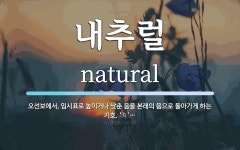 내추럴 뜻: 오선보에서, 임시표로 높이거나 낮춘 음을 본래의 음으로... ‘