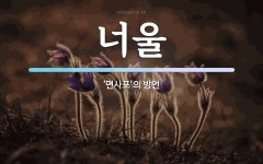 너울 뜻: ‘면사포’의 방언