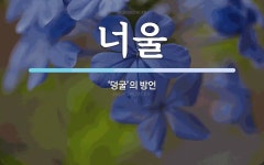 너울 뜻: ‘덩굴’의 방언