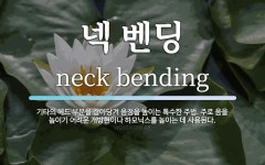 주)휘닉스밴딩서비스 | 넥 벤딩 뜻: 기타의 헤드 부분을 잡아당겨 음정을 높이는 특수한 주법. 주로 음을 높이기 어려운 개방현이