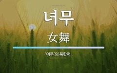 녀무 뜻: ‘여무’의 북한어.