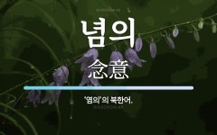 념의 뜻: ‘염의’의 북한어.