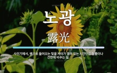 노광 뜻: 사진기에서, 렌즈로 들어오는 빛을 셔터가 열려 있는 시간만큼 필름이나 건판에 비추는 일.