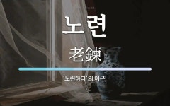 노련 뜻: ‘노련하다’의 어근.