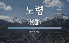 노령 뜻: 늙은 나이.