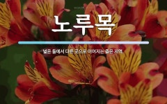노루목 뜻: 넓은 들에서 다른 곳으로 이어지는 좁은 지역.