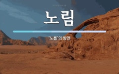 노림 뜻: ‘노름’의 방언