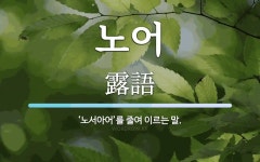 노어 뜻: ‘노서아어’를 줄여 이르는 말.