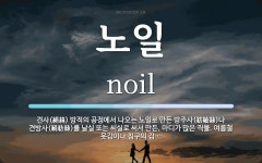 노일 뜻: 견사(絹絲) 방적의 공정에서 나오는 노일로 만든 방주사... 방적의 공정에서 나오는 노일로 만든 방주사(紡紬絲)나 견방사(絹紡絲)를 날실 