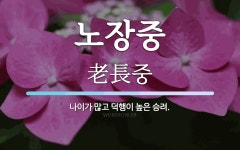 노장중 뜻: 나이가 많고 덕행이 높은 승려.