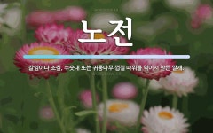 노전 뜻: 갈잎이나 조짚, 수숫대 또는 귀룽나무 껍질 따위를 엮어서 만든 깔개.