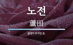 노전 뜻: 갈대가 우거진 곳.