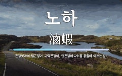 노하 뜻: 곤쟁잇과의 털곤쟁이, 까막곤쟁이, 민곤쟁이 따위를 통틀어 이르는 말.