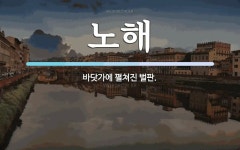 노해 뜻: 바닷가에 펼쳐진 벌판.